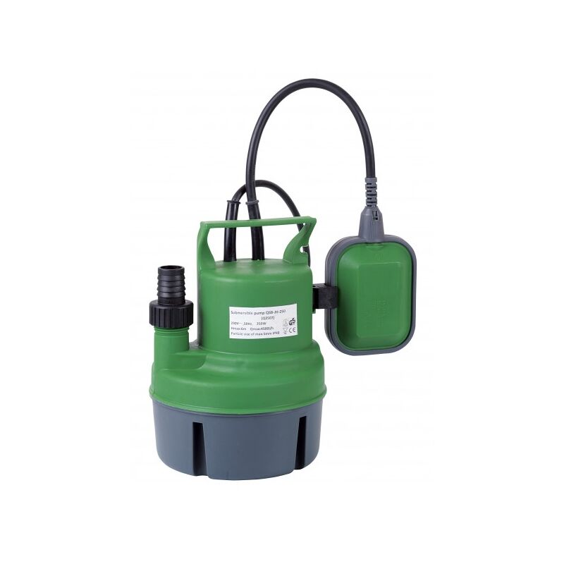 Pompe vide cave 250 w (Eaux Claires)