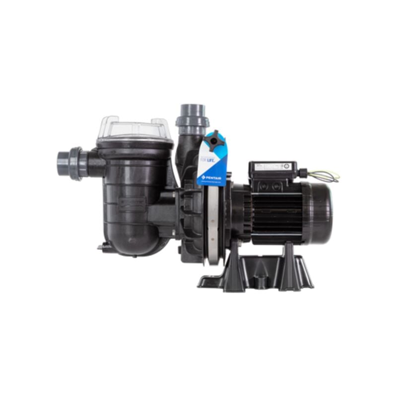 Pentair - Pompe de filtration piscine La Sta-rite - Monophasée - sta-rite -