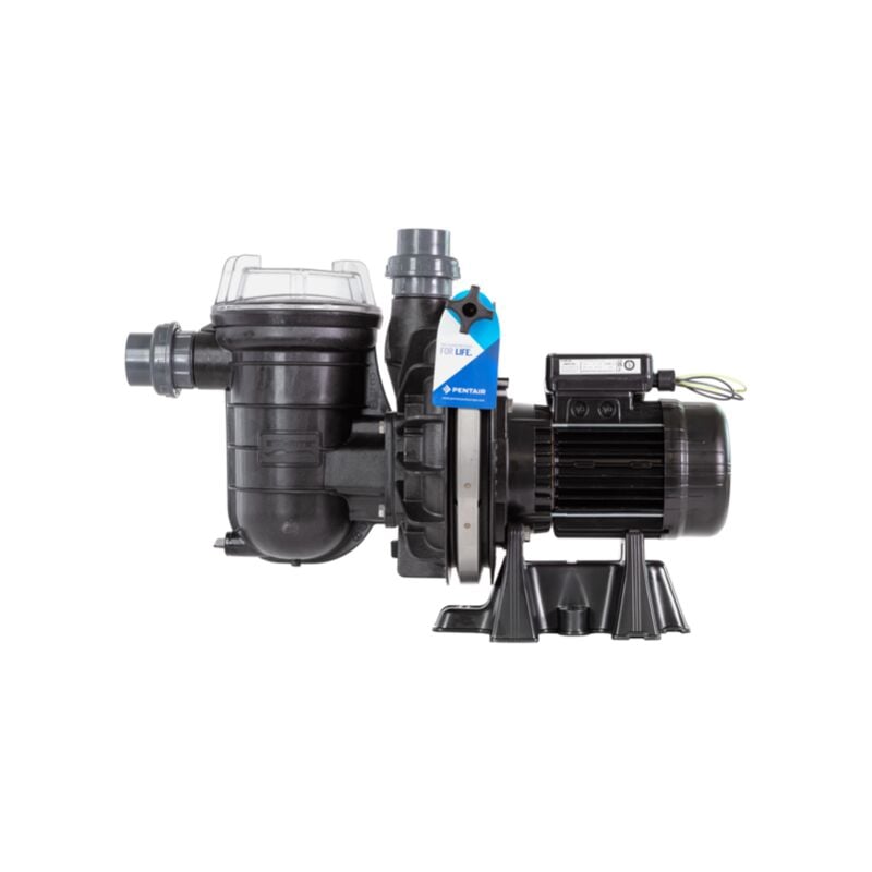 Pentair - Pompe de filtration piscine La Sta-rite - Triphasée - sta-rite -