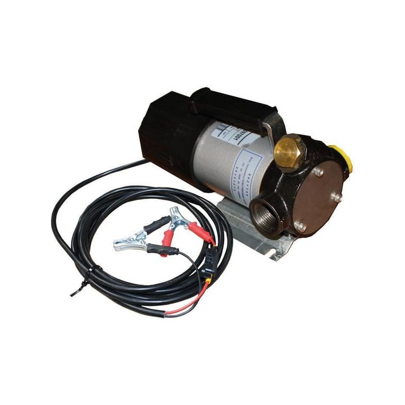 Pompe fuel 12V 40L/M sur patte Renson