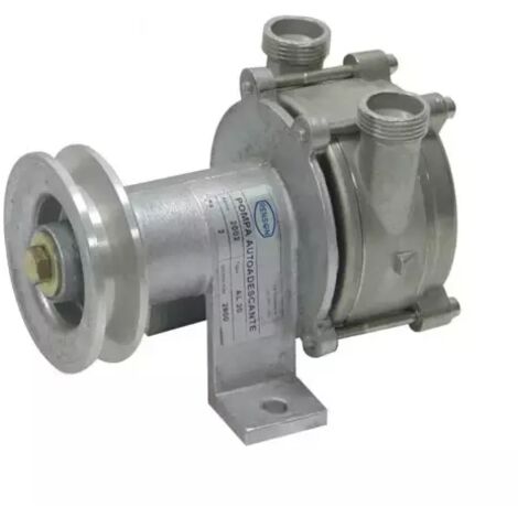 Pompe liquide alimentaire a poulie inox RENSON