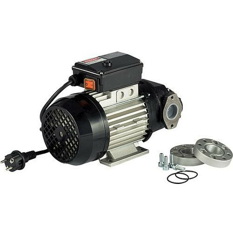 Pompe rotative autoamorcante Type E 80 T, 400V/50Hz, 500Watt, 75l/min max. BG