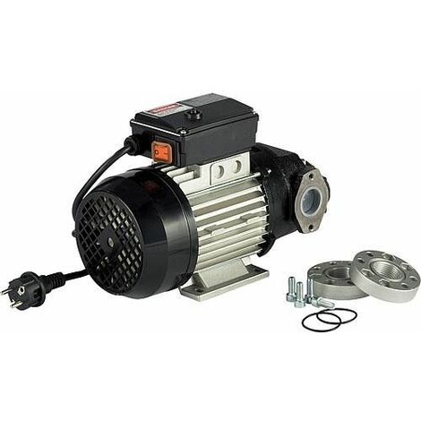 Pompe rotative autoamorcante Type E 80 T, 400V/50Hz, 500Watt, 75l/min max. *BG*