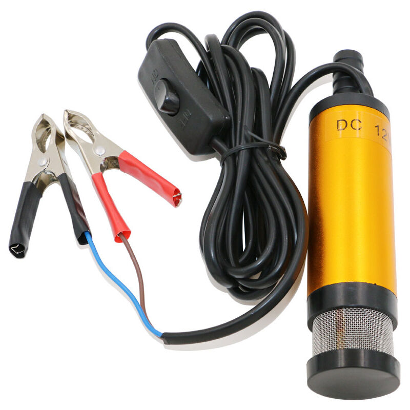 Shining House - Pompe submersible électrique diesel Mini carburant huile Transfert 12V dc plein d'essence en acier inoxydable pour Auto Moto