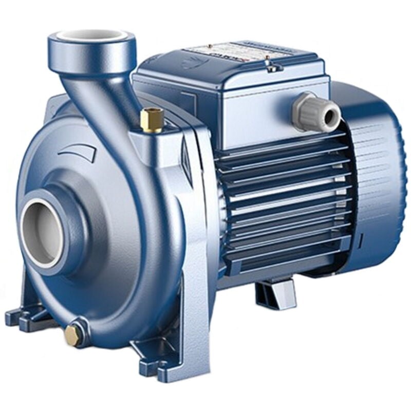 Pompes centrifuges Moyens débits pour l'agriculture Monophasé HFm 50B Pedrollo