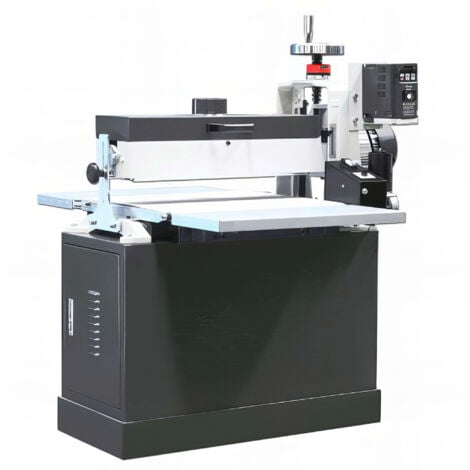 HOLZPROFI Ponceuse - Brosseuse L. 1 560 mm - 1 500 W 230 V