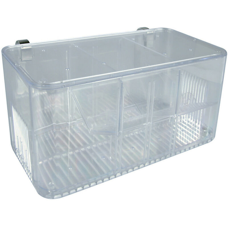 Zolux - Pondoir isoloir 5 combinaisons taille : 21 x 10 x 10 cm pour aquarium