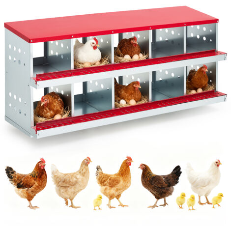 Pondoir Poules Pondeuses 10 Compartiments, Aération Intégrée, Perchoir, Murale / Sol, Résiste Aux Coups De Bec , Ramassage Facile Des Œufs
