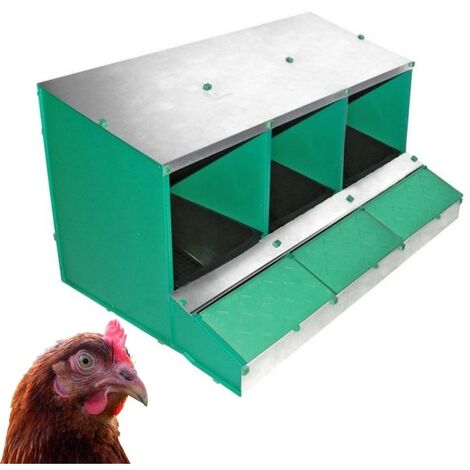 Ponedero para Gallinas - 3 Departamentos, Desmontable, Incluye Fondo y Cesta Recogida Huevos