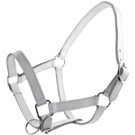Pony, Blanc: Cavezza en cuir chromé blanc avec double réglage