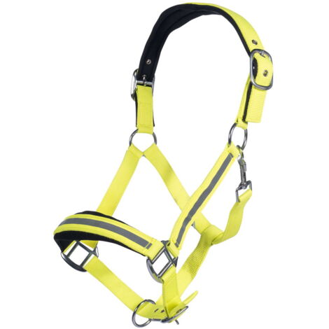 Pony, Giallo neon: Cavezza per cavalli modello Reflective in nylon con inserti catarifrangenti e con nasalina e frontalino imbottiti