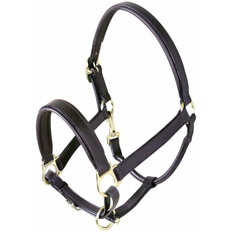 Pony, Marrone: Cavezza Gagnant en cuir rembourré de bonne qualité avec boucles dorées