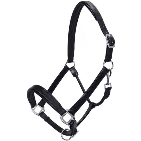 Pony, Marrone: Ligne économique cauvezza en cuir rembourré avec boucles nickelées