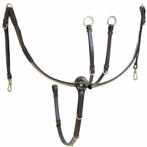 Pony, Nero: Plastron anglais avec clincheur et boucle en laiton Winner Special