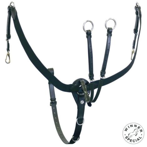 Pony, Nero: Plastron en cuir et élastique avec martingale détachable et fixation de selle Winner Special