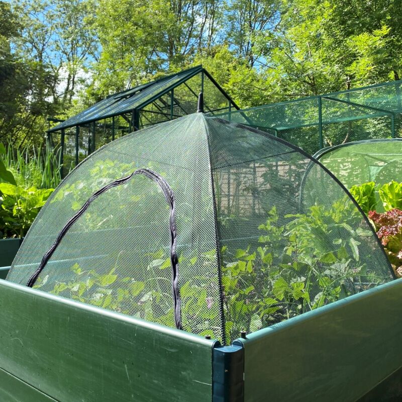 Gardenskill - Pop N Crop Garden Netting Plant Protection Cover Umbrella Greenhouse 1.2x0.8m