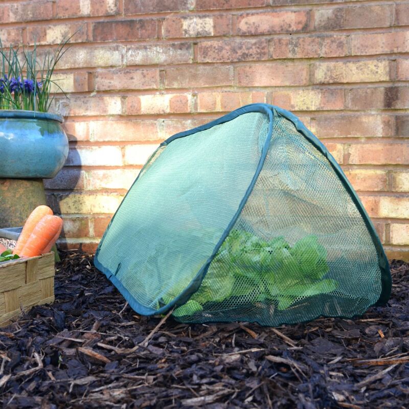 Gardenskill - Pop-Up Net Cloche & Plant Protection Cover – 1m long x 0.4m wide x 0.4m high (pack of 3)