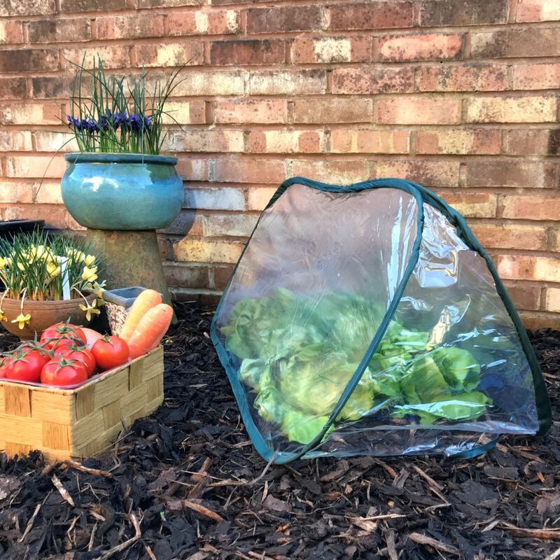 Pop-Up Poly Cloche & Mini Greenhouse - 1m long x 0.4m wide x 0.4m high (pack of 3)