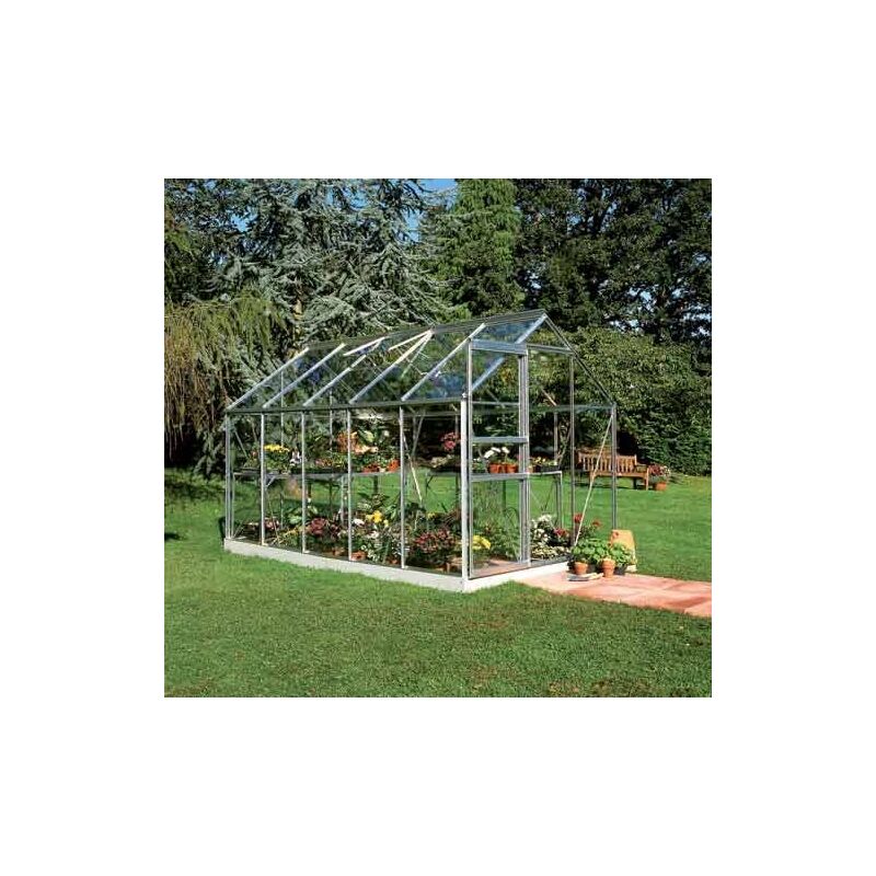 Serre en verre horticole Popular 106 avec base - 6.20 m², Couleur Forest green - Forest green