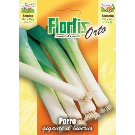PORRO GIGANTE D'INVERNO