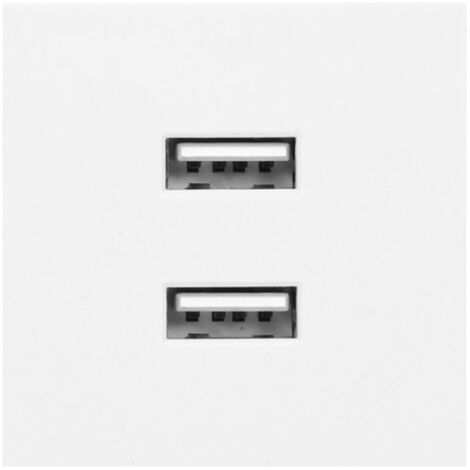 Port modulaire avec chargeur 2xUSB OR-GM-9010/W/USBX2