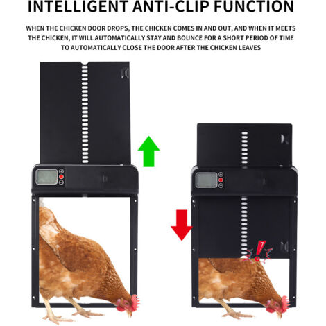 Porta automatica per pollaio, porta automatica per pollaio con timer e manuale, porta anti-intrappolamento per pollaio con display LED impermeabile IP45