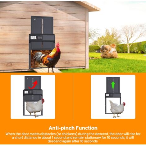 Porta elettrica automatica per pollaio a batteria, timer e schermo LCD, sicurezza anti-pizzicamento, alluminio, impermeabile IPX4, facile da installare e utilizzare