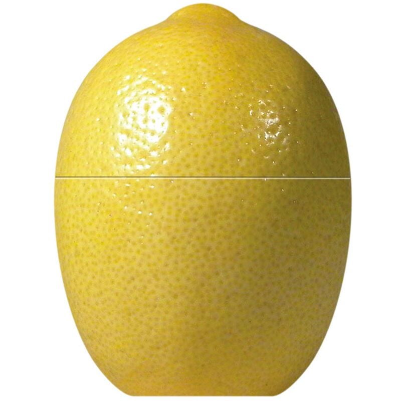 Image of Fackelmann - Contenitore Salvafreschezza per Conservare il Limone, Plastica, Giallo
