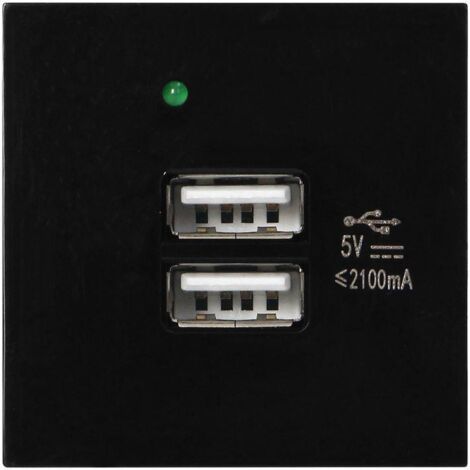 Porta modulare con caricabatterie 2xUSB OR-GM-9010/B/USBX2