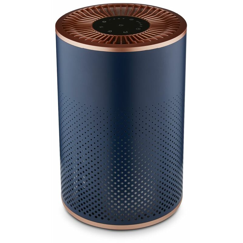 Image of T673000BLG Desktop Air Purifier, Powerful hepa&hellip;