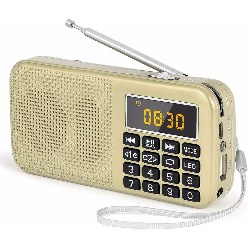 Portable Radio, fm Radio with Large Capacity Rechargeable Battery (3000mAh), Support MP3 / sd / usb / AUX,Gold