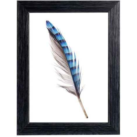 Portafoto newman, 20mm, 13x18 cm, colore nero