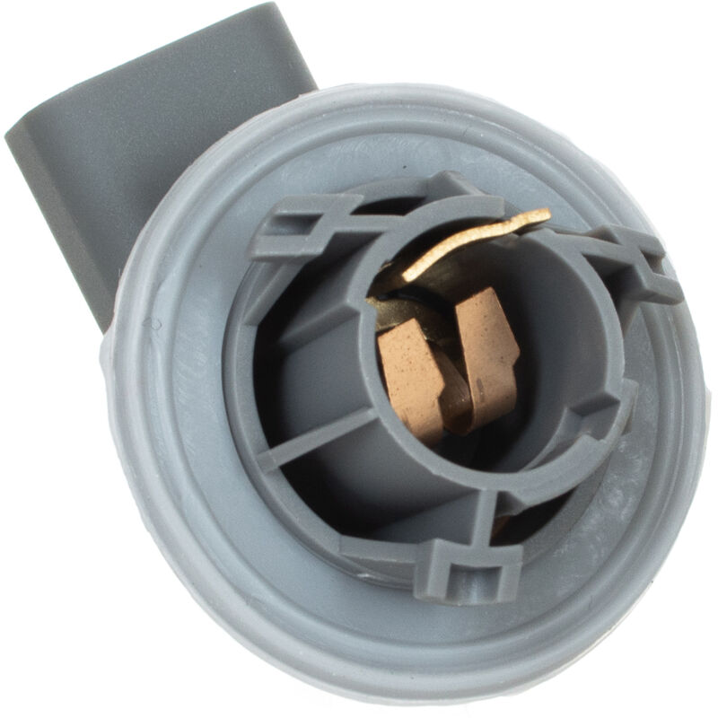 Portal谩mparas P21/5W para Ford Focus I 98-04