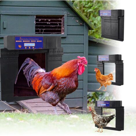 Porte Automatique de Poulailler électrique à énergie Solaire et Alimentée par Batterie – D'enclos Poulet Double Ouverture avec Télécommande/minuterie/affichage (BLACK) - BLACK