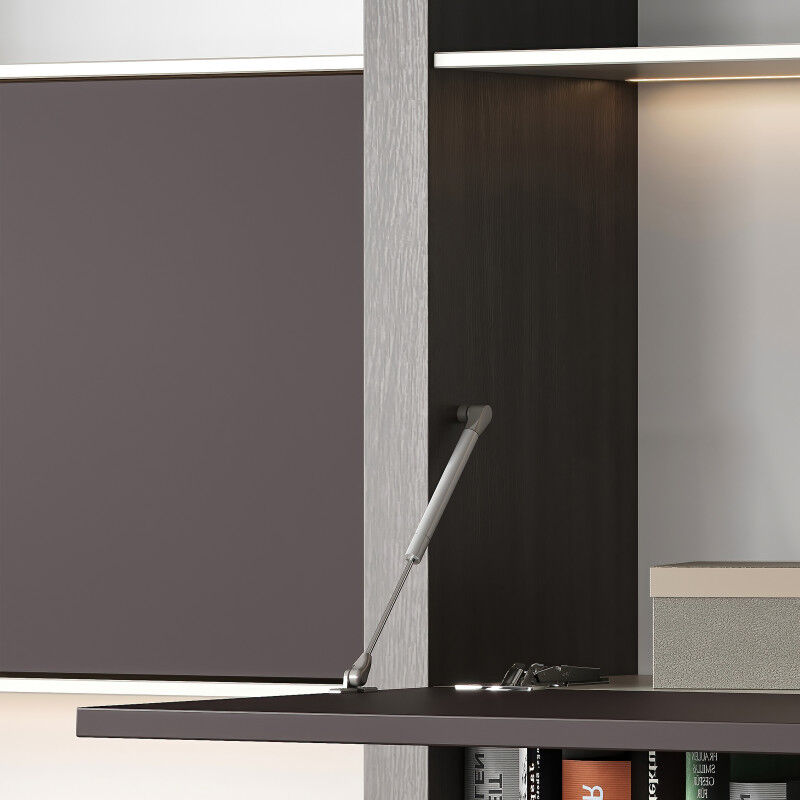 Emuca - 1261424 Piston de porte relevable Thin, diamètre 12mm, avec loquets, 10kg, acier et plastique, nickelé mat