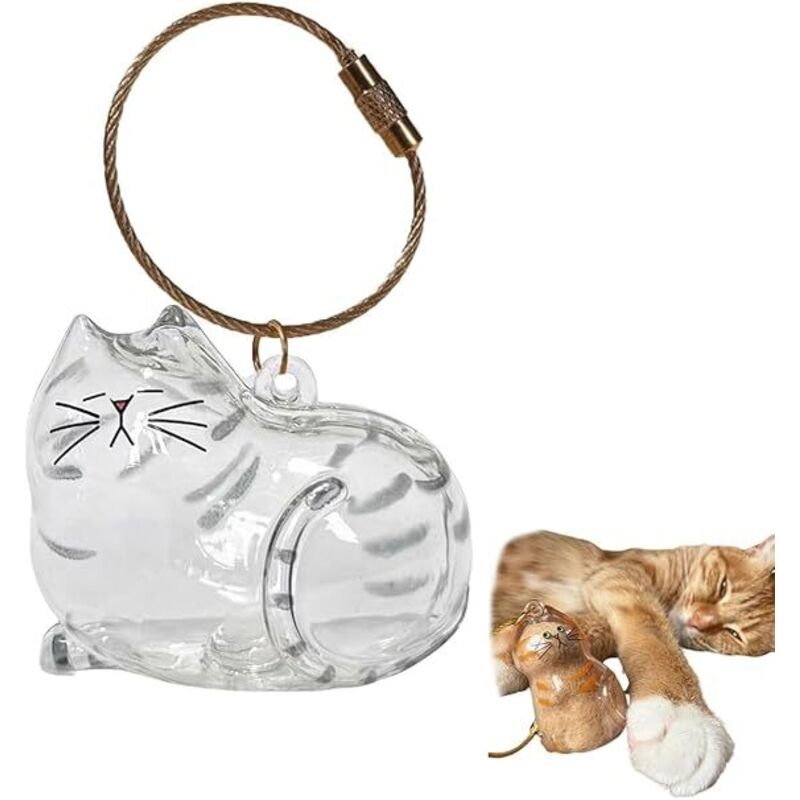 Porte-clés bouteille transparente pour récupérer les poils de chat, souvenir, boîte de rangement, anneau porte-clés, breloque de sac