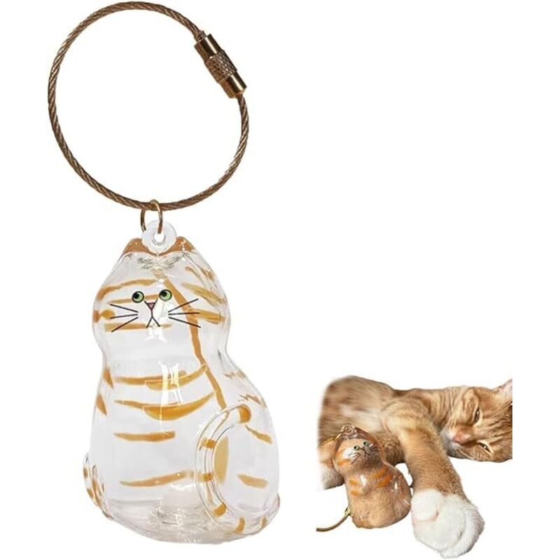 Porte-clés bouteille transparente pour récupérer les poils de chat, souvenir, boîte de rangement, anneau porte-clés, breloque de sac