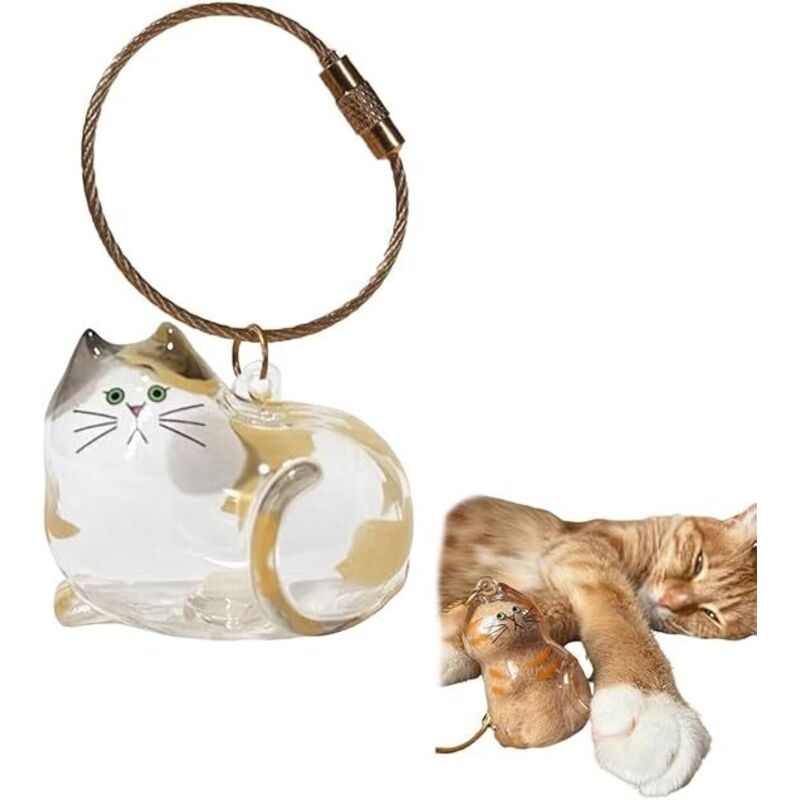 Porte-clés bouteille transparente pour récupérer les poils de chat, souvenir, boîte de rangement, anneau porte-clés, breloque de sac
