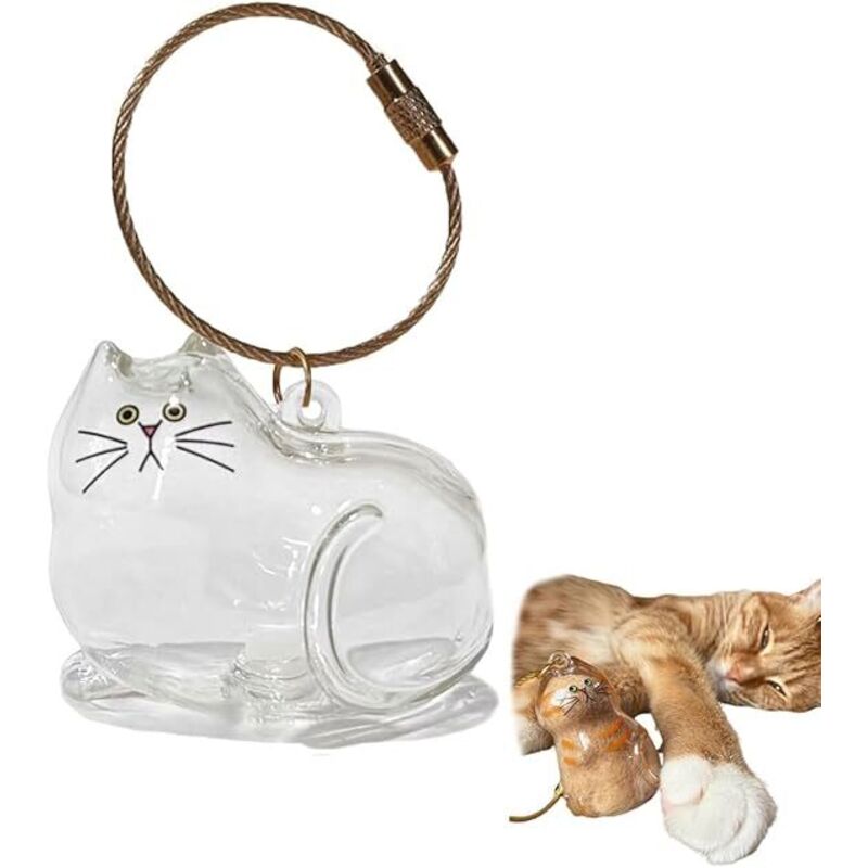 Porte-clés bouteille transparente pour récupérer les poils de chat, souvenir, boîte de rangement, anneau porte-clés, breloque de sac