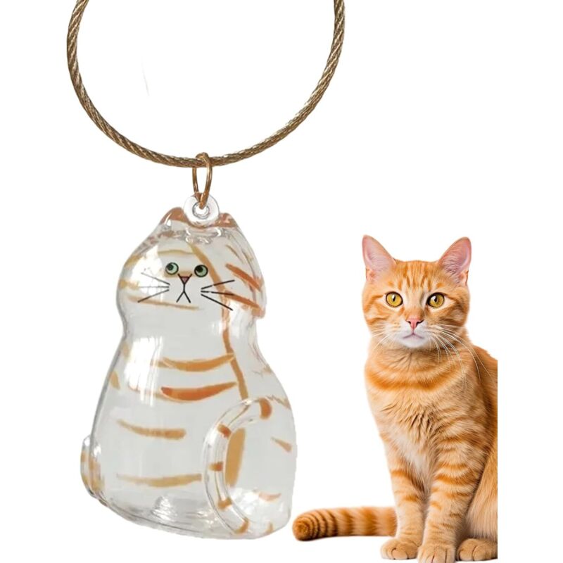 Porte-clés en poils de chat, pendentifs personnalisés pour chats, boîte à souvenirs pour chats, souvenirs en fourrure et moustaches d'animaux, boîte
