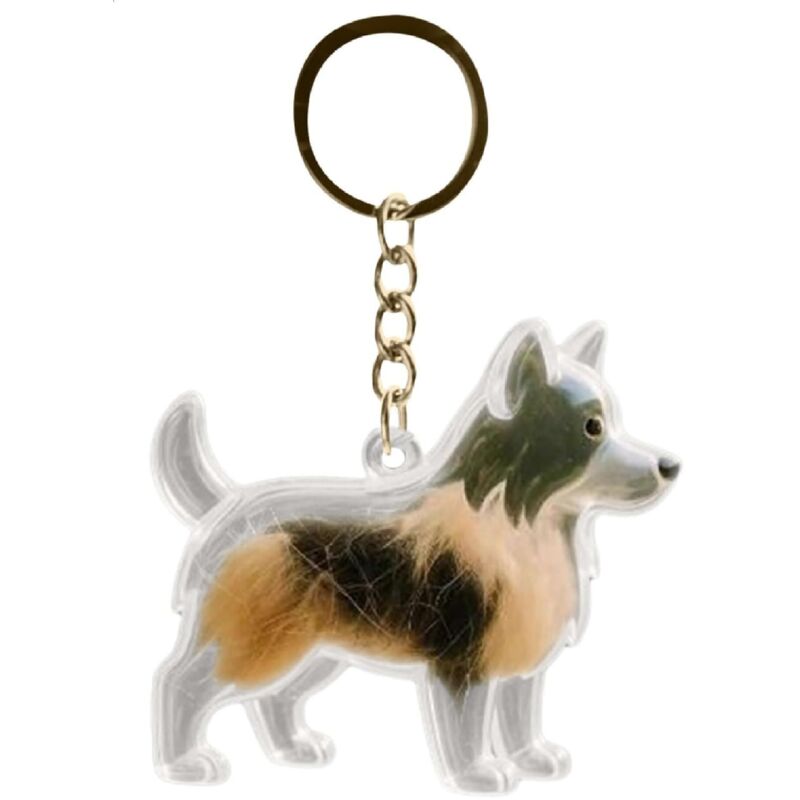 Porte-clés pour recueillir les poils de chat et de chien, pendentif en hommage à un chien, boîte de rangement commémorative