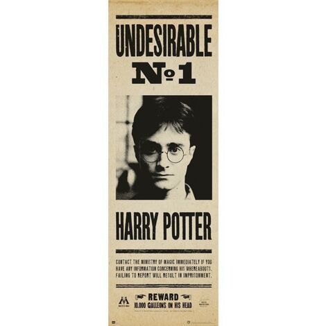 Porte de l'affiche harry potter indésirable n§1