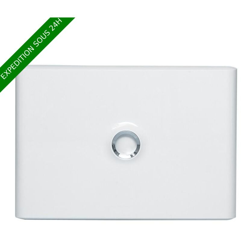 Porte drivia blanche IP40 IK07 pour coffret réference 401221 RAL9003 (401231)