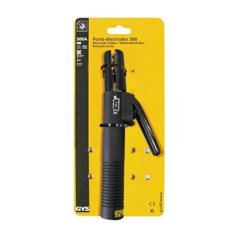 porte electrodes 300a