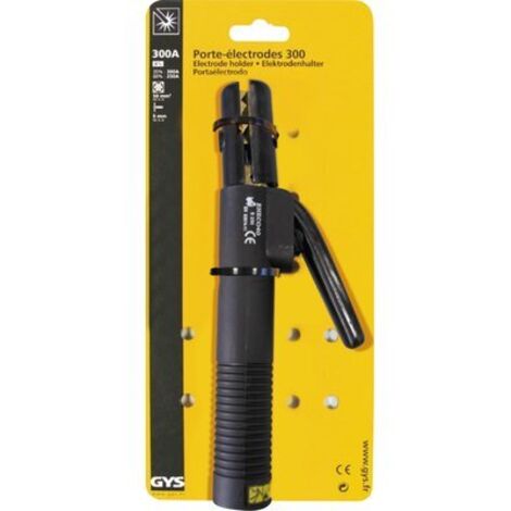 porte electrodes 300a