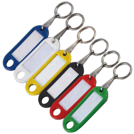 Porte-étiquette vert avec anneau boîte de 100 - CHAPUIS - 7140/10V