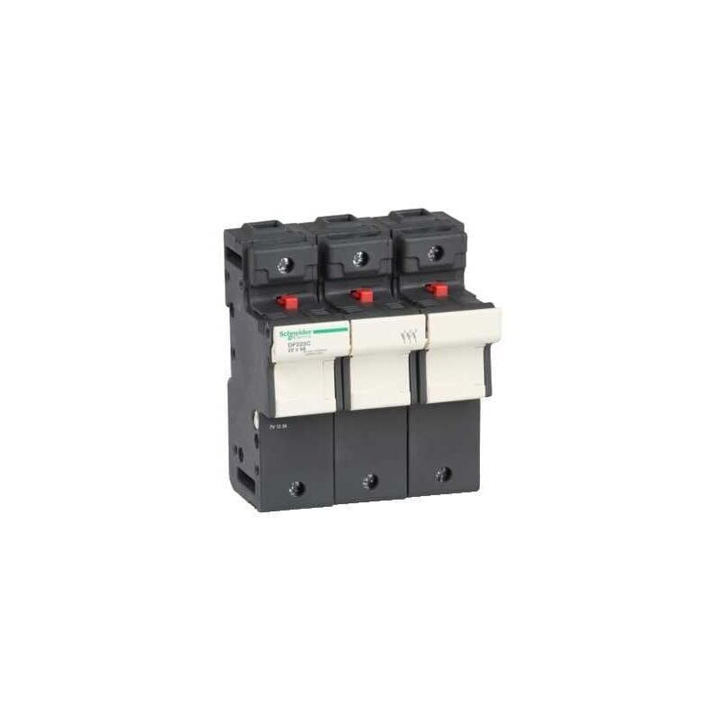 Schneider Electric - porte-fus 3P 125A pour fusible 22 x 58 mm - DF223C