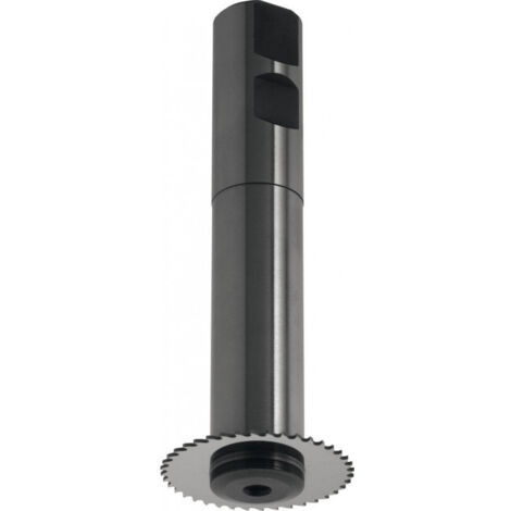 Porte-lame de scie D1835B D 100 x 22 mm Tschorn