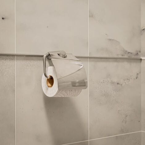 Dérouleur papier toilette inox brossé AREO Blomus 68900