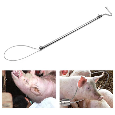 Porte-pôle de Capture pour Porcs et Truies avec Longue Barre en Acier Inoxydable et Cordon Fixation pour Sécurité et Facilité d'Utilisation